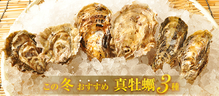 【厳選真牡蠣3種】お試し特価キャンペーン